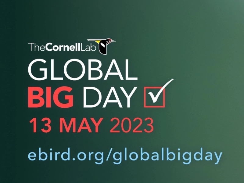 Global Big Day 2023 Sets New World Record